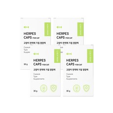  본아페티 고양이 허피스캡스 기관지 호흡기 면역력 영양제 아기 반려묘 기침 60정 4개 