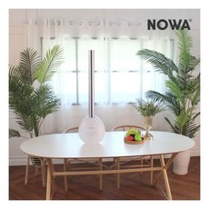 코스트코미디어타워팬