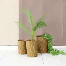 655e672c197beffb6f1a9547fcfd0556e6b28c1ed99ddd1a1891f2467f09.jpg