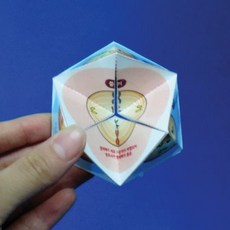 파라디스칼레아