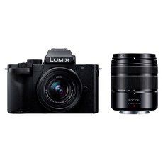 파나소닉 LUMIX G100DW-K 디지털 일안 카메라 표준줌렌즈+망원줌렌즈킷