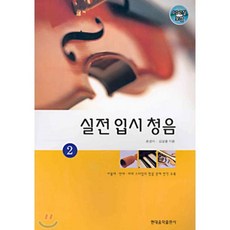 실용청음