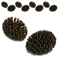 3d1c9911b8e7209bfd1eb5c60a4c31518b0e8d4ce38f1cdaacea2e9d4c8c.jpg