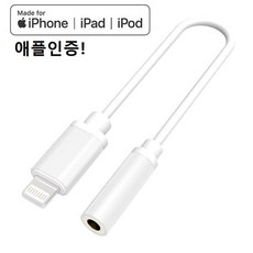 애플정품이어폰젠더