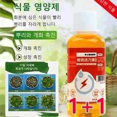 1+1 [뿌리와 개화 촉진] 식물 영양제 식물 활력제 쑥쑥튼튼 식물영양제, (5+5)*60ml