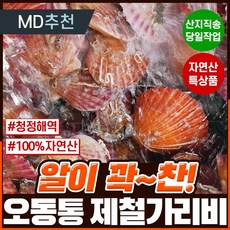 가리비제철