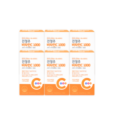 진정주 비타C1000 1100mg, 100정, 6개