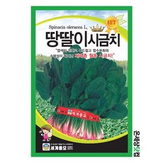 땅딸이시금치 400g / 씨앗 종자 텃밭 섬초 월동 나물 반찬 채소, 1개