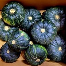 단호박 밤호박 3kg 미니, 1개, 단품