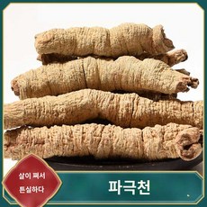 건조 파극천 balsambion 희귀 건강차 재료 중국 제거, 깊은 산에서 파극천을 캐다 250g, 1개