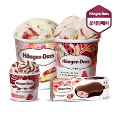 하겐다즈파인트4개