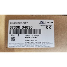 레이알터네이터