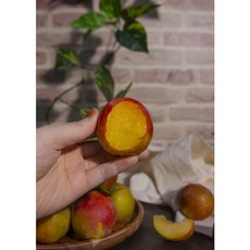 따고담고 추희 자두 3kg 20~24과 왕자두, 1개