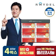 [8주분]레이델 폴리코사놀 더블액션 4박스(112정), 단품