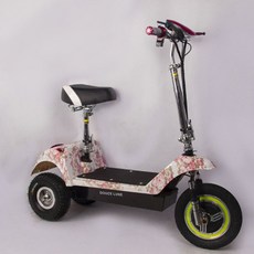 그린솔 GREENSHOU 성인용 두스룬 접이식 세발 전기자전거 삼륜 전동스쿠터, 36v/ 40km, 믹스3(등받이 없음)