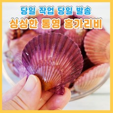 통영 홍가리비 2kg, 홍가리비 3kg, 1개