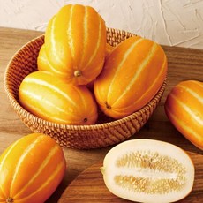  고당도 성주 못난이 꿀참외 1.5kg 가정용 혼합과 산지직송 단품  상품 이미지