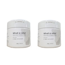 왓아릴리프 주방 다용도 세정제 피니쉬크림 500g 2개, 왓아릴리프_피니쉬크림 500g 2개