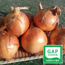 [GAP산지직송] 국내산 양파 2kg 3kg 5kg 햇양파, 중 2kg, 1개