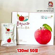 HACCP인증 홍천 너브내참사과농장 사과로만 착즙 홍천사과즙 120ml