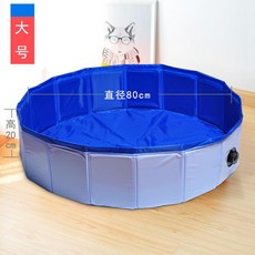 구찌고양이운동화