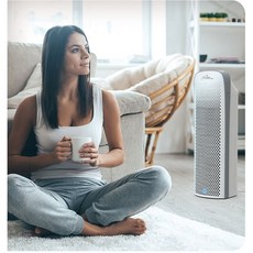 로얄이스탄불공기청정기