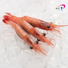 러시아 단새우 1kg 횟감가능, 1개, 2L 1kg