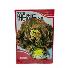 버터헤드뿌리