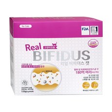 리얼비피더스캣