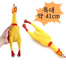 엔터인형