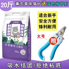 f1aaf3fafc1cce35d156c2ce9a0c8d7af05bc69016da6f24c53d7cf3cf89.jpg