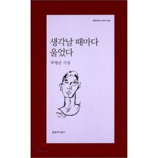 생각날 때마다 울었다, 문학과지성사, 박형준 저