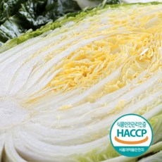 HACCP인증 해남 아삭아삭 절임배추 20kg 10kg 김장예약 절인배추, 1박스