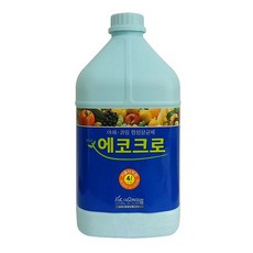 kfc스콜쳐