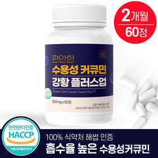 뉴트라업 수용성 커큐민 강황 플러스업 식약청인증 HACCP, 1개, 60정