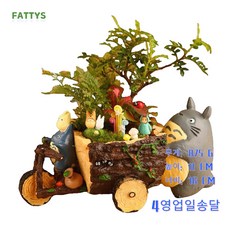 FATTYS 당일출하 이웃집 토토로 카트자전거 다육이 화분, 1통