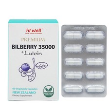 빌베리3500