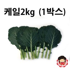 //상품명
