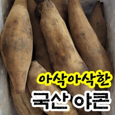 아삭아삭한 친환경 토종 야콘 특품 1kg/실속 3kg 국산 국내산 괴산 고품질 자연재배 산지직송 햇 생 생과 땅속과일 레드야콘 변비 다이어트