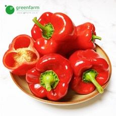홍피망(상)10kg