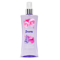 바디판타지로맨스앤드림스