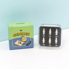 지니비 애플펜슬 펜촉 2H 2B 드로잉...