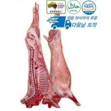 [행복미트] 호주산 껍데기없는 염소 고기 절단 지육 (고기+뼈) 8kg내외 Halal Goat Meat [당일발송], 1개