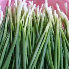 국내산) 산지직송 쪽파 깔끔 깐쪽파 실파 손질쪽파, 1개, 1kg