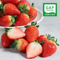 [오늘의과일] GAP인증 여름딸기 300g(12과/15과 랜덤)