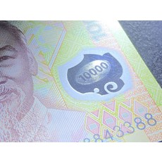 베트남10000일의전쟁