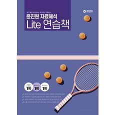 와이즈랩스팀