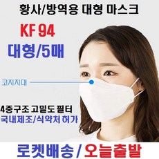 KF94 더조은 황사 방역 마스크 대형 (1입) 5매 발송, 본상품5매