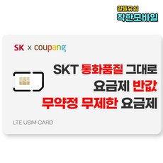 유심 SK 알뜰폰요금제 알뜰폰유심 무약정 LTE 데이터무제한 자급제 유심