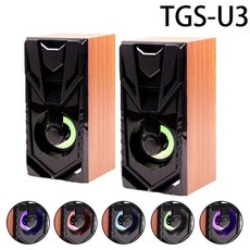 rt19t3007gs